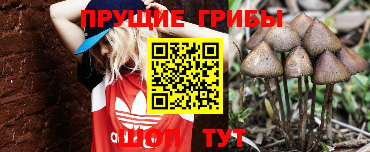 Псилоцибиновые грибы MAGIC MUSHROOMS  Вход с VPN  Смоленск 