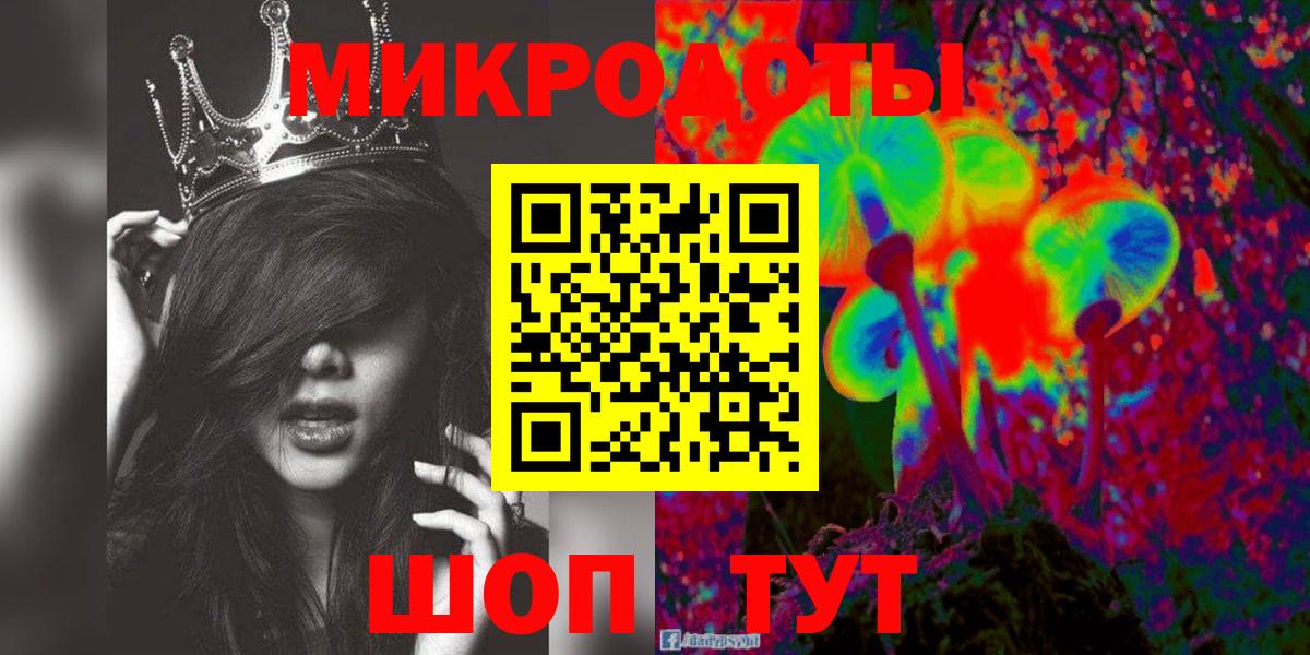 Галлюциногенные грибы Psilocybe Смоленск